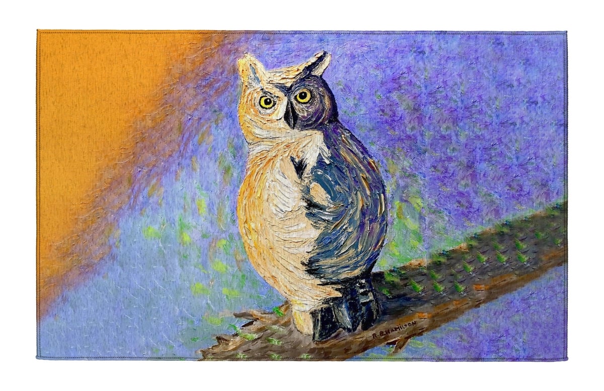 DR1493 Owl Looking Back Indoor Dornier Area Rug 20x32