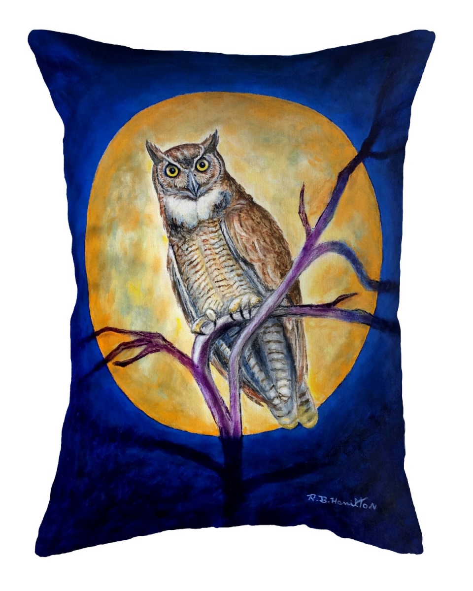 Picture of Betsy Drake Interiors KS1172 Owl in Moon 11x14 Small No Cord Pillow