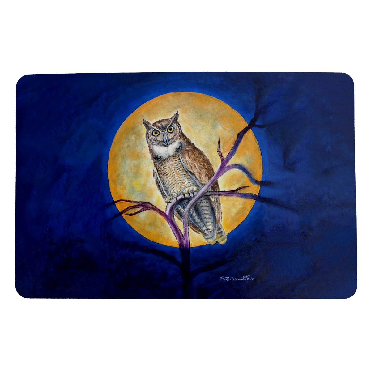 Picture of Betsy Drake Interiors DM1172 Owl in Moon Door Mat 18x26
