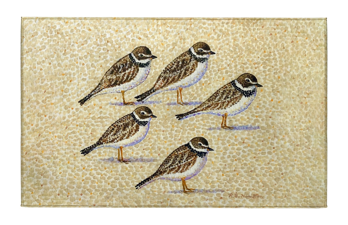 DR1512 Five Sandpipers Indoor Dornier Area Rug 20x32