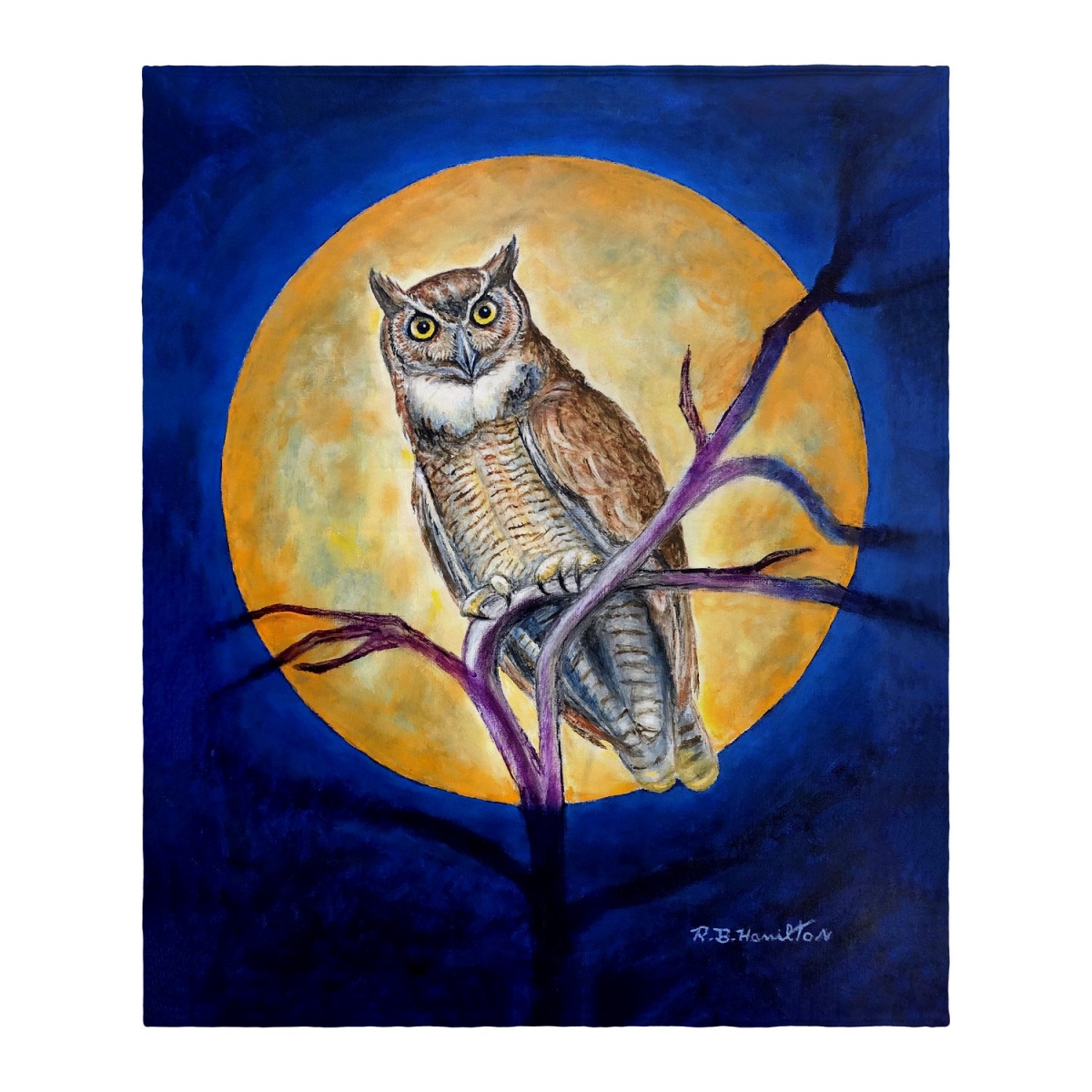 Picture of Betsy Drake Interiors BK1172 Owl in Moon Throw