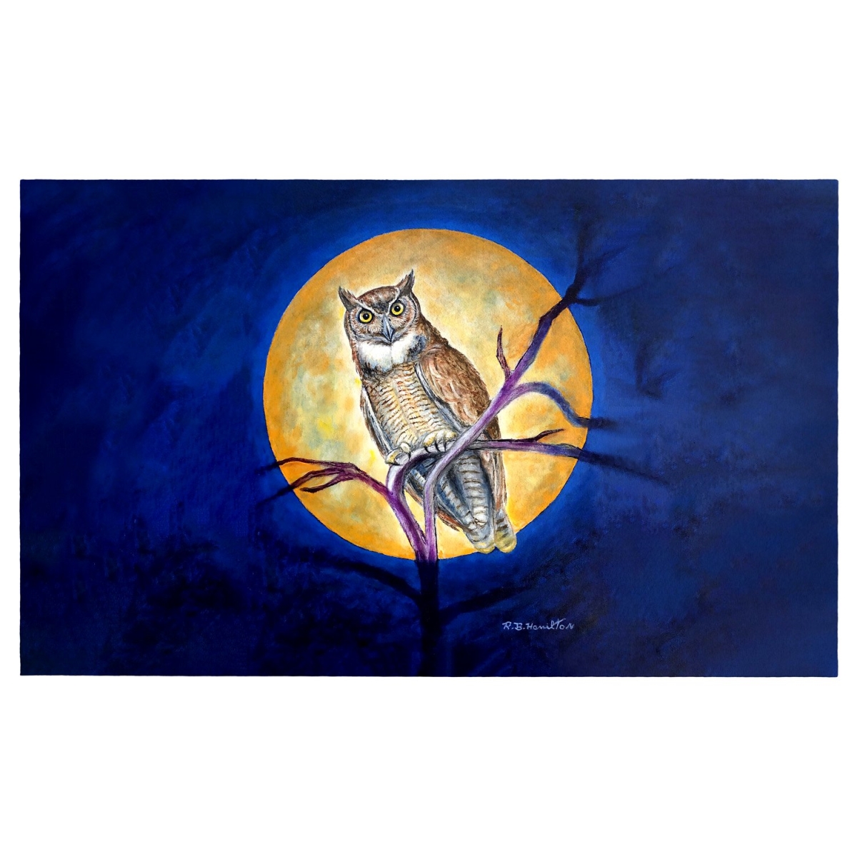 Picture of Betsy Drake Interiors DM1172G Owl in Moon Door Mat 30x50