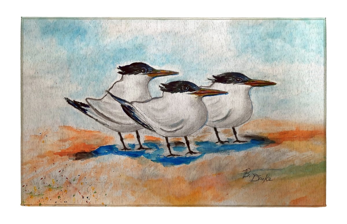 DR1521 Three Terns Indoor Dornier Area Rug 20x32