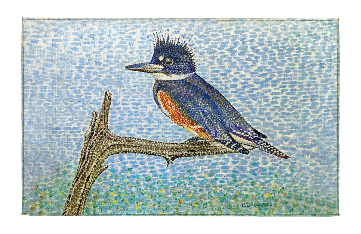 DR1529 Kingfisher Indoor Dornier Area Rug 20x32