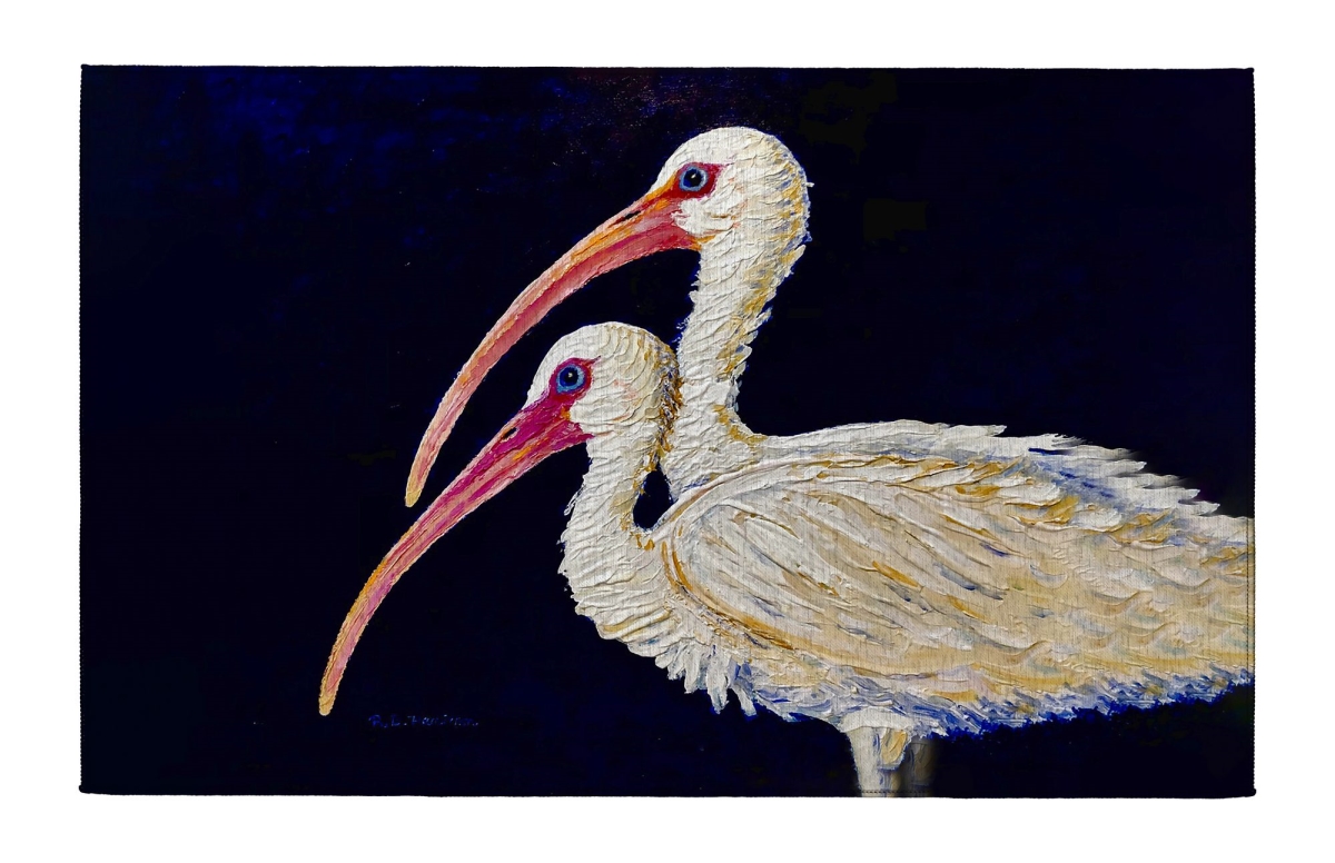 DR1519 Two Ibis Indoor Dornier Area Rug 20x32