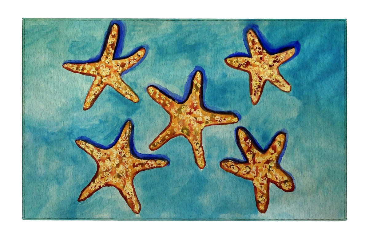DR1577 Many Starfish Indoor Dornier Area Rug 20x32