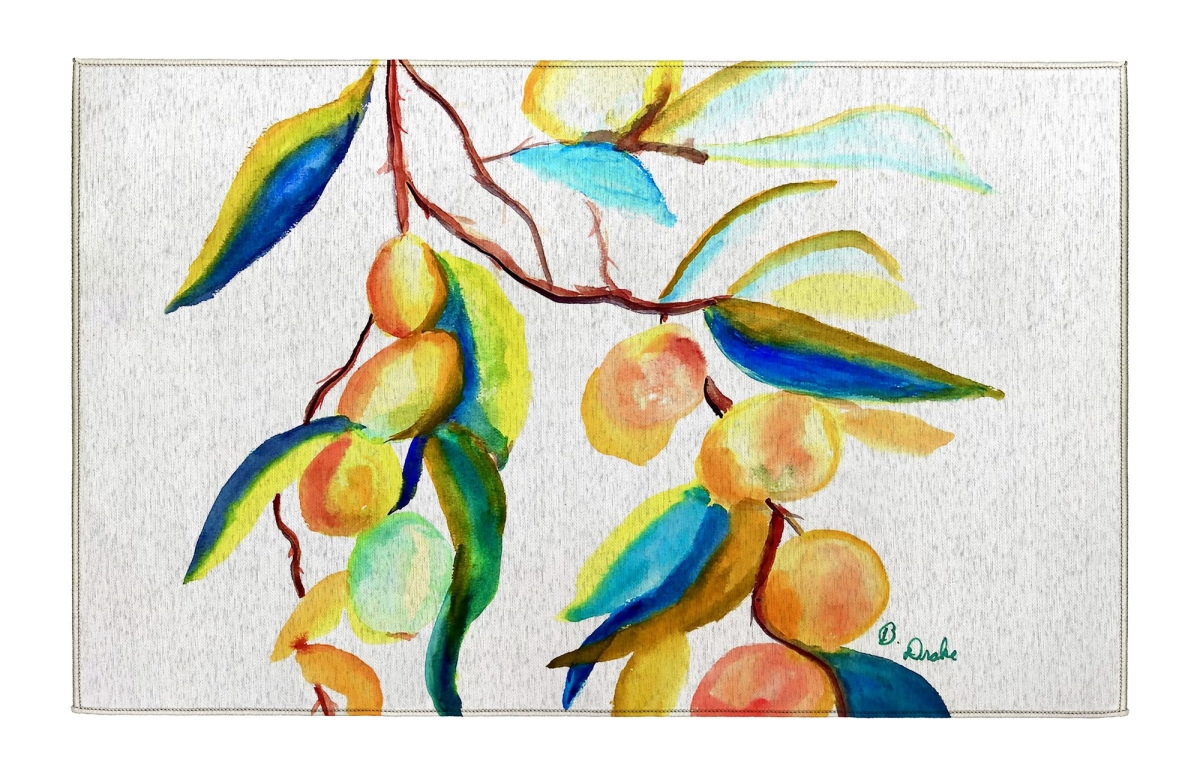 DR1534 Peaches II Indoor Dornier Area Rug 20x32