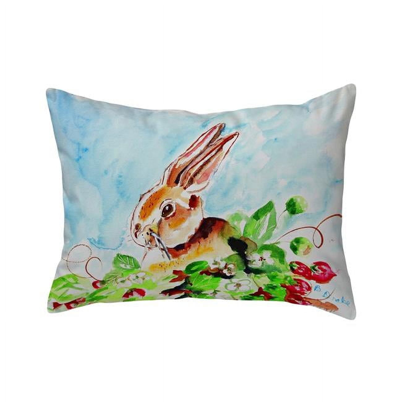 16 x 20 in. Jack Rabbit Left No Cord Pillow
