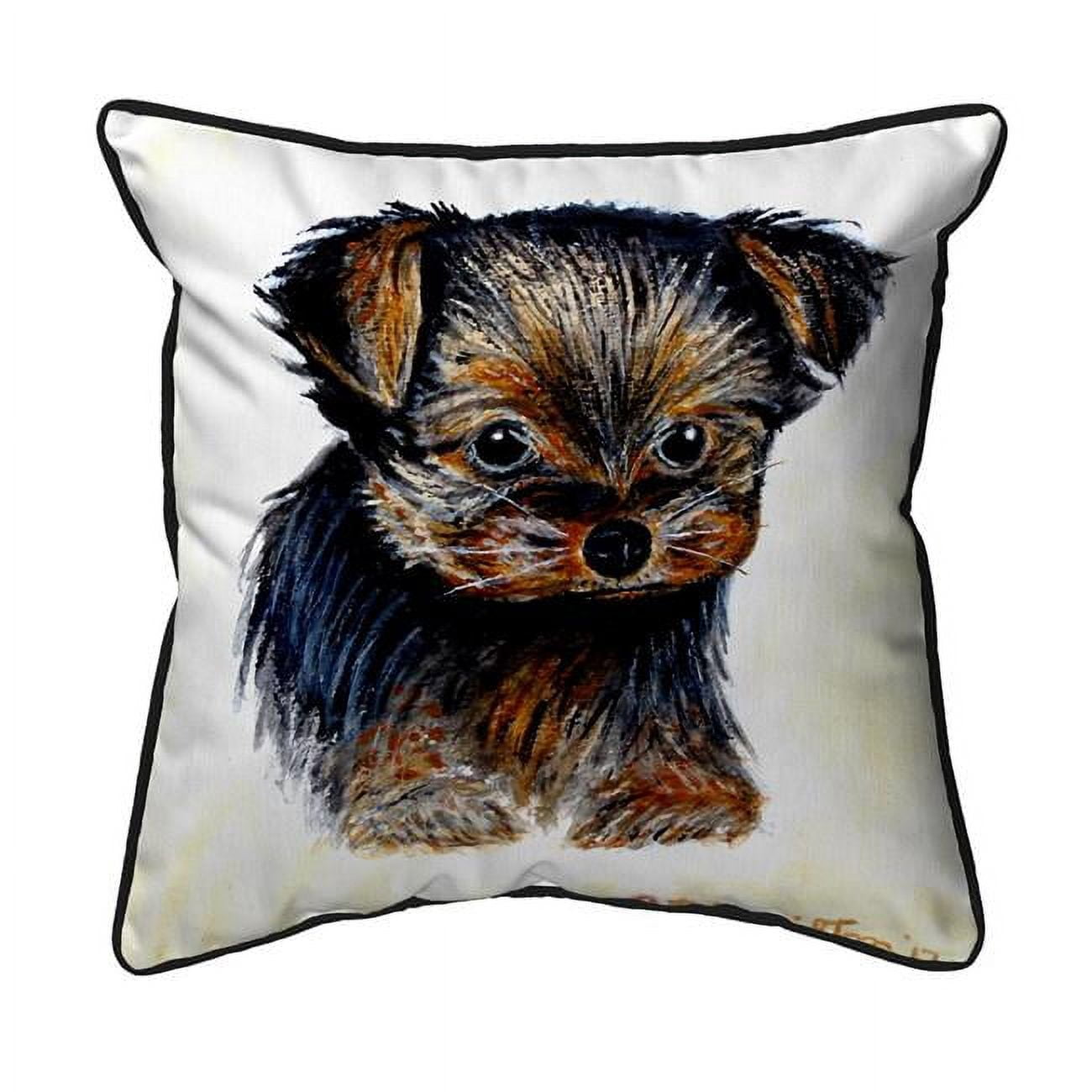 18 x 18 in. Tauris Large Indoor & Outdoor Pillow