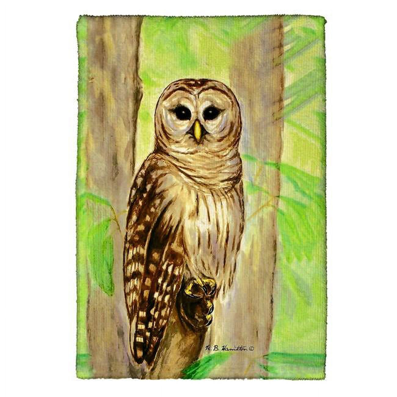 Picture of Betsy Drake KT240 Owl Kitchen Towel