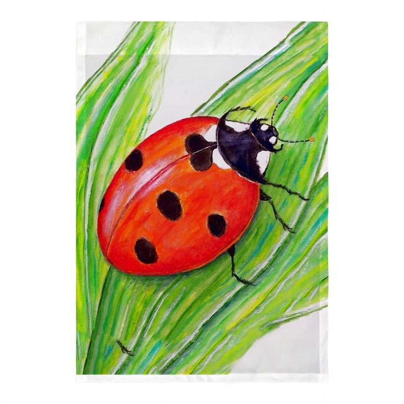 Ladybug Flag - 12.5 x 18 in.