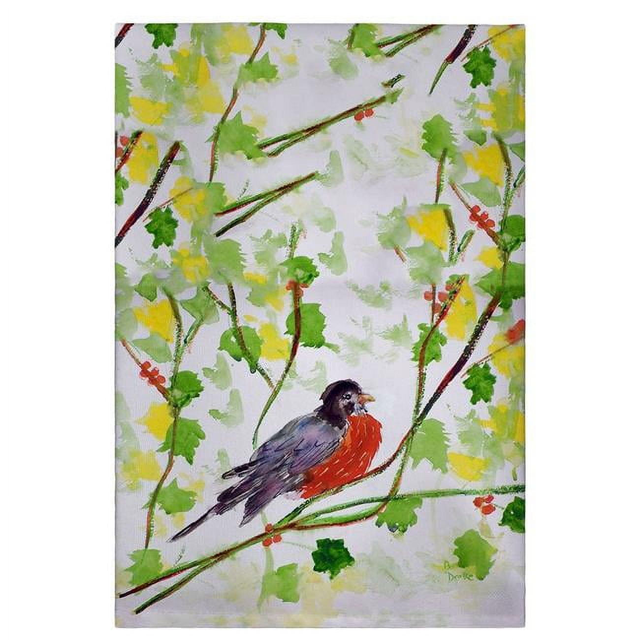 Robin Guest Towel - 20 x 20 in.