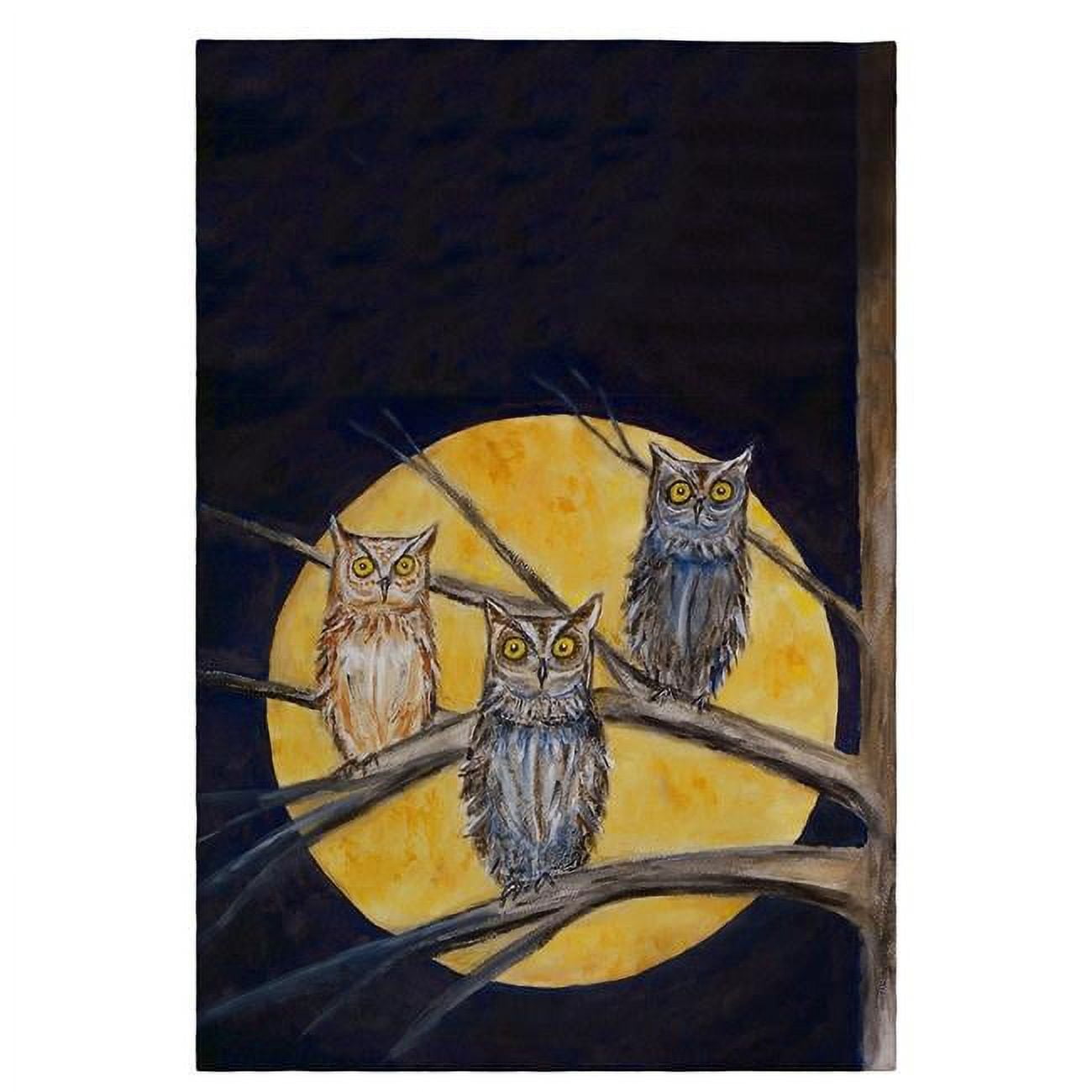 Night Owls Guest Towel - 20 x 20 in.