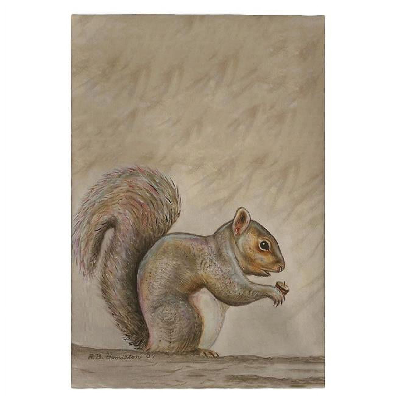 Squirrel Guest Towel - 20 x 20 in.