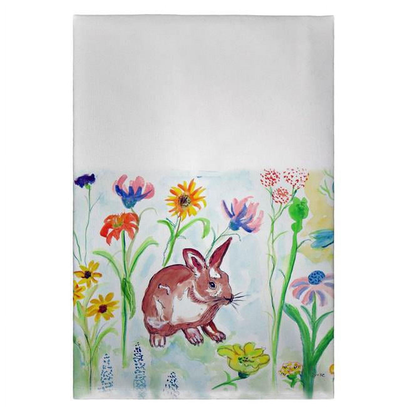 Whiskers Guest Towel - 20 x 20 in.