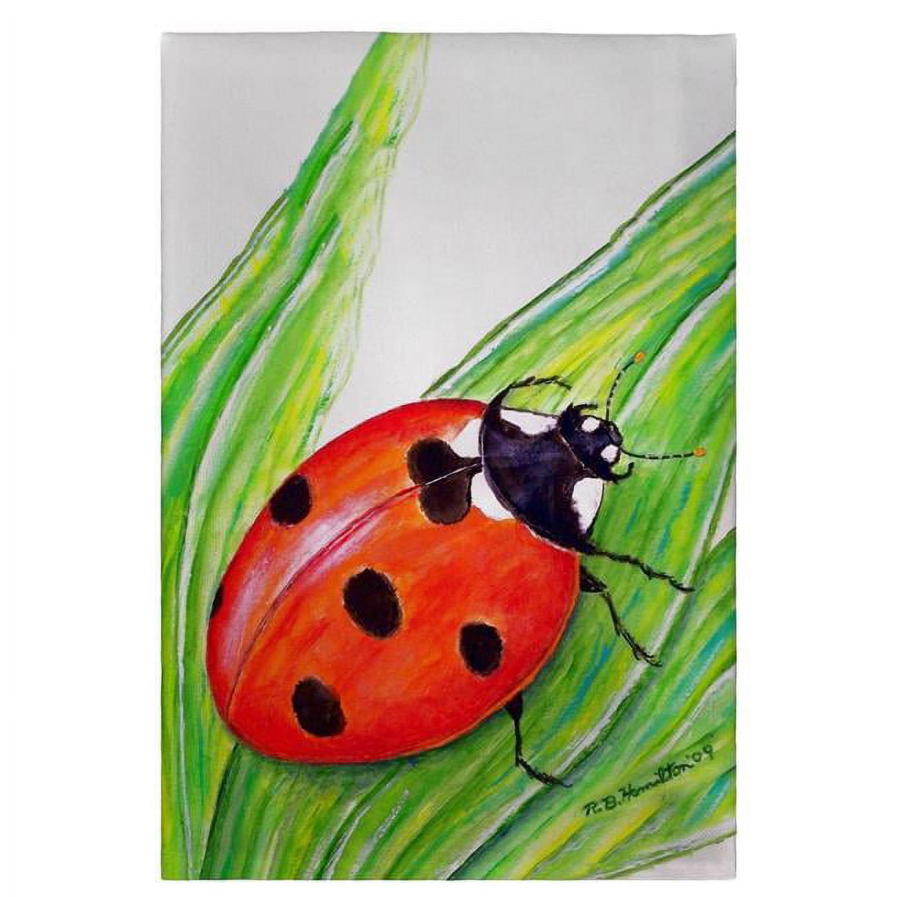 Ladybug Guest Towel - 20 x 20 in.