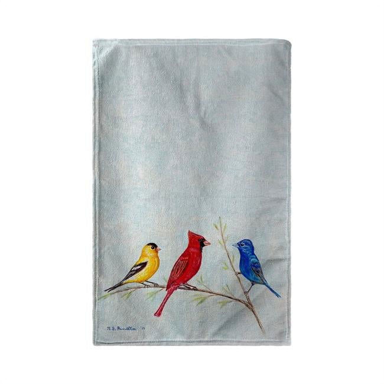 30 x 50 in. Three Birds Beach Towel
