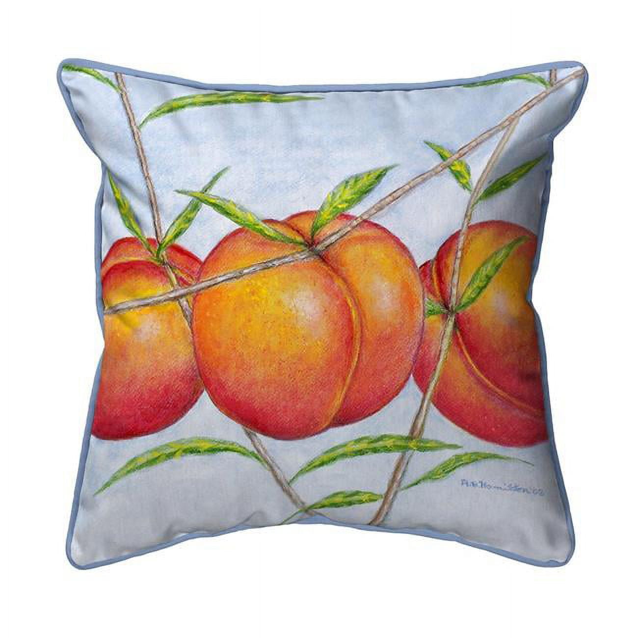 18 x 18 in. Peaches Large Pillow