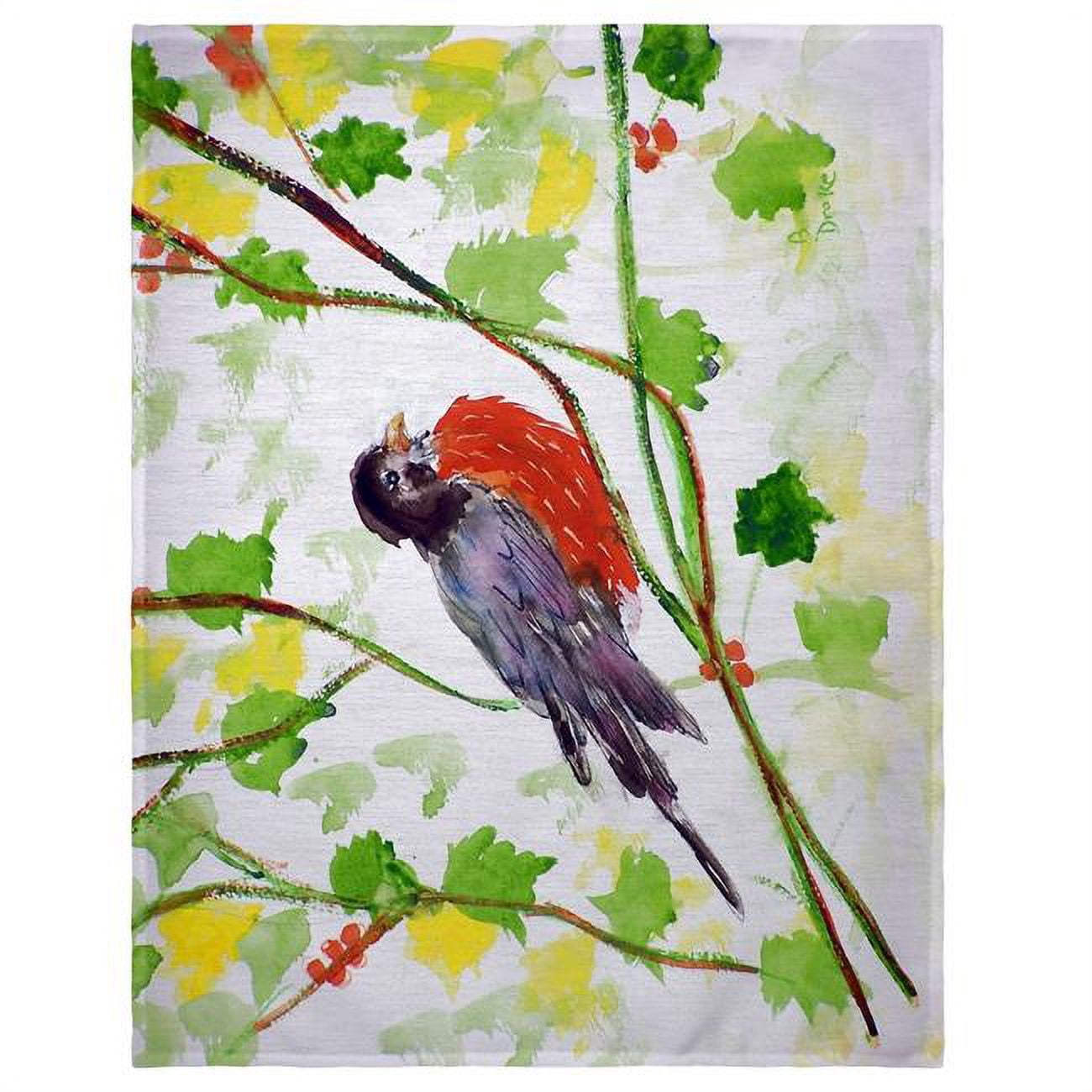 Picture of Betsy Drake PM164 14 x 18 in. Robin Place Mat - Set of 4