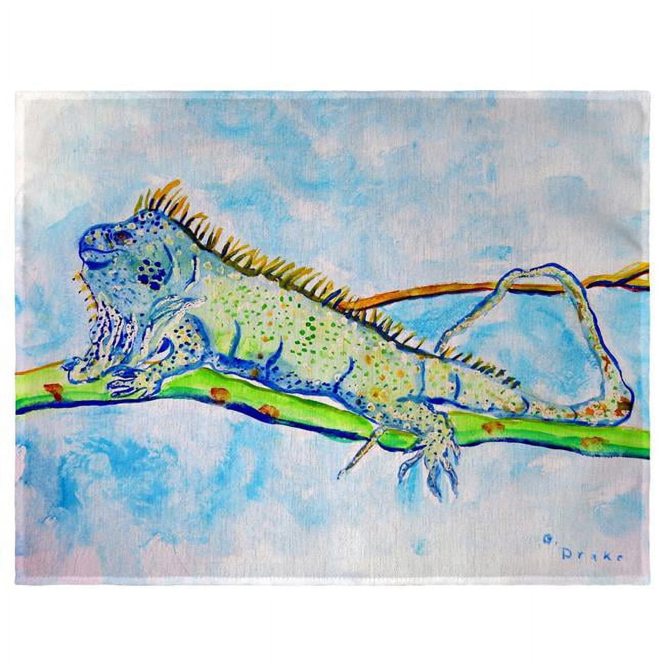 14 x 18 in. Iguana Place Mat - Set of 4