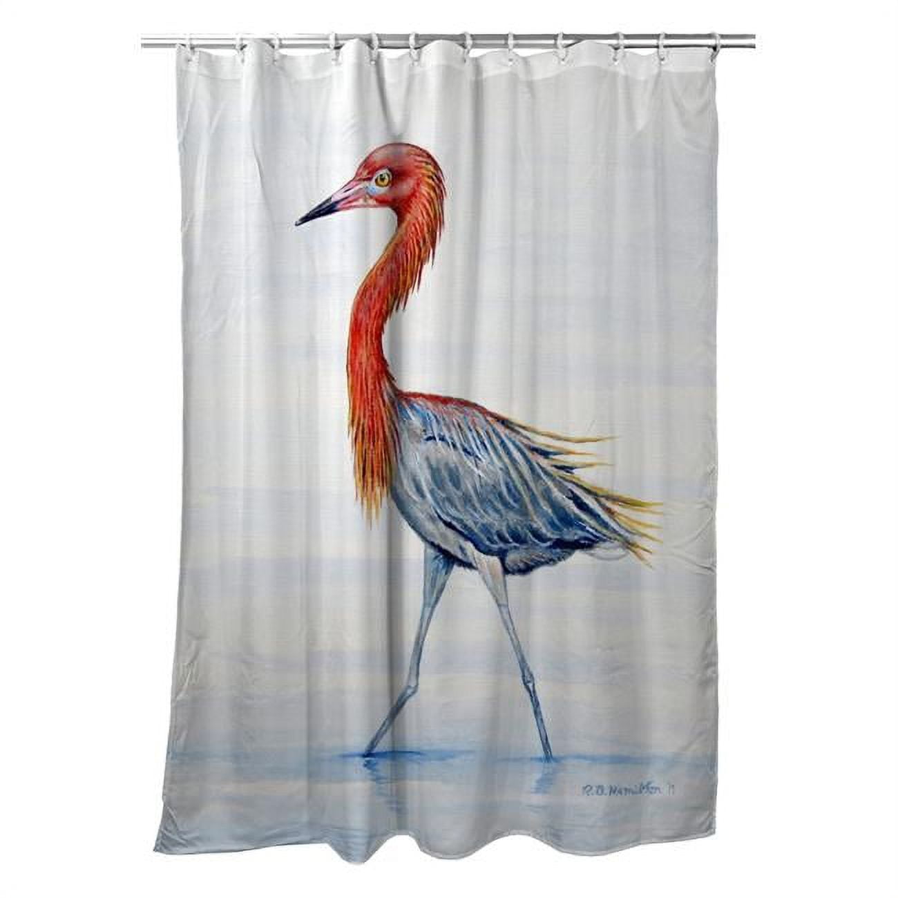 70 x 72 in. Reddish Egret Shower Curtain