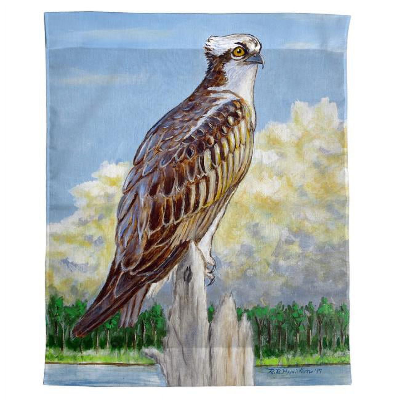 24 x 30 in. Osprey Overlook Outdoor Wall Hanging