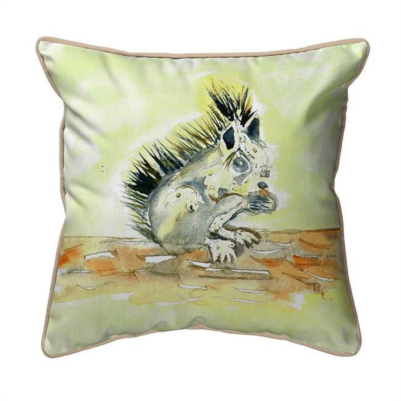 SN059 12 x 12 in. Baby Squirrel Small Pillow
