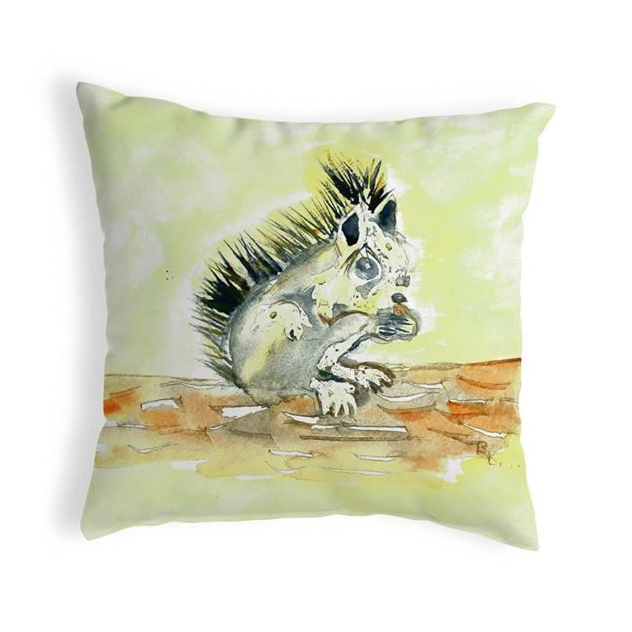 18 x 18 in. Baby Squirrel Noncorded Pillow