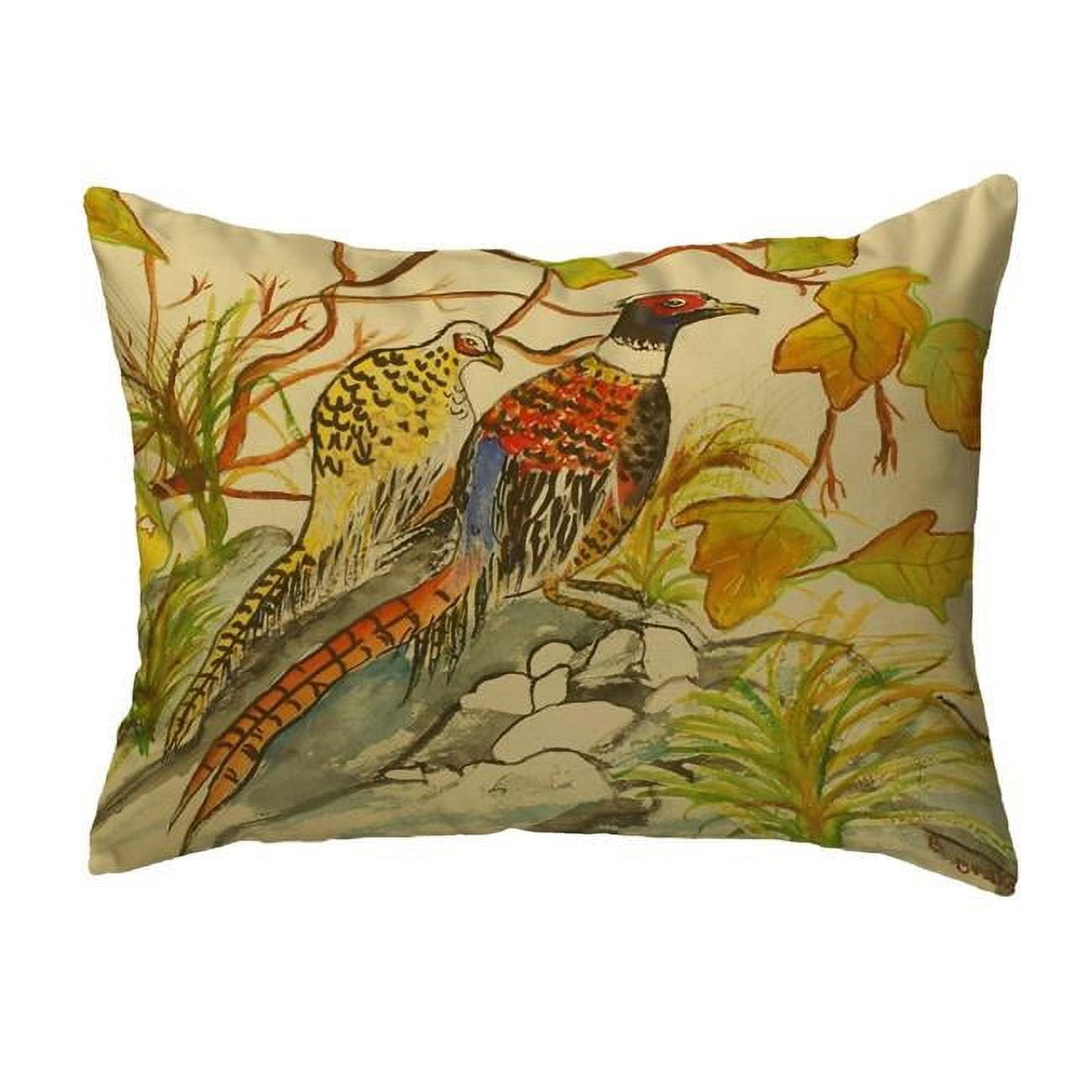 16 x 20 in. Pheasant Noncorded Pillow