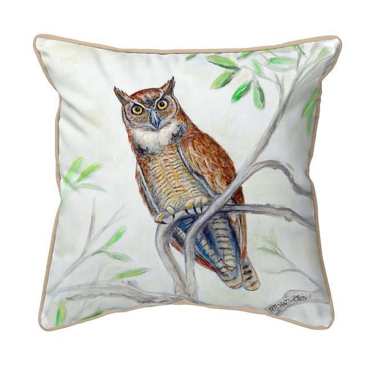 22 x 22 in. Great Horned Owl Extra Large Zippered Pillow