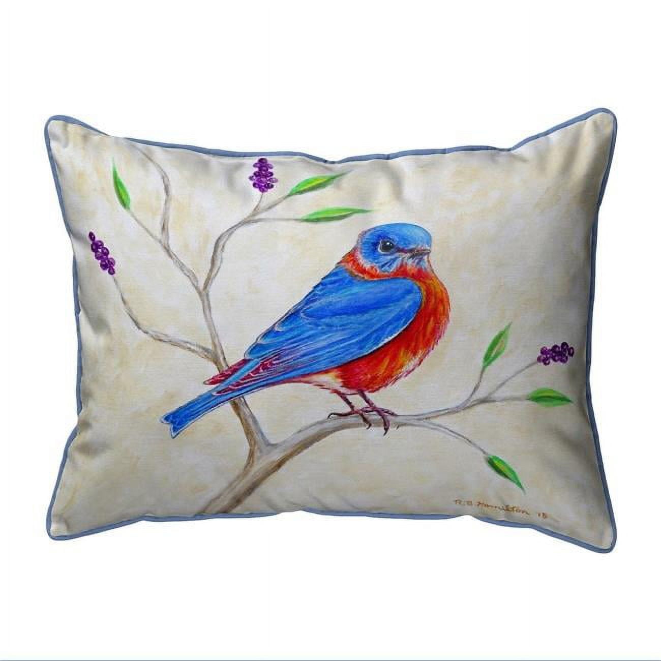 16 x 20 in. Dicks Blue Bird Large Indoor & Outdoor Pillow