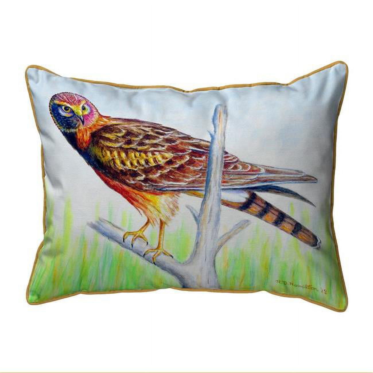 11 x 14 in. Marsh Hawk Small Indoor & Outdoor Pillow