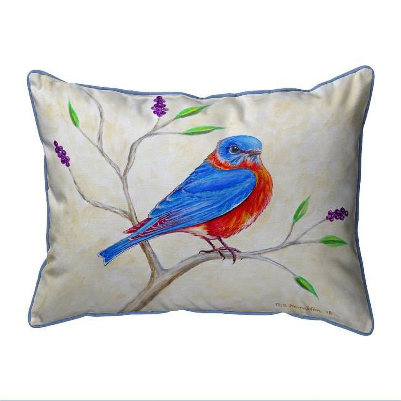 20 x 24 in. Dicks Blue Bird Extra Large Zippered Pillow