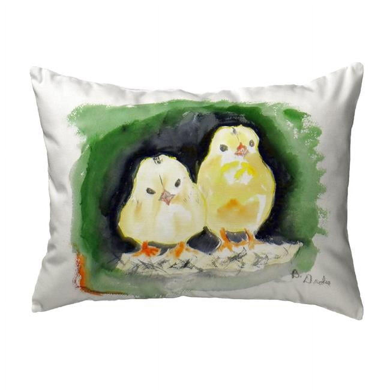11 x 14 in. Chicks Small No-Cord Pillow