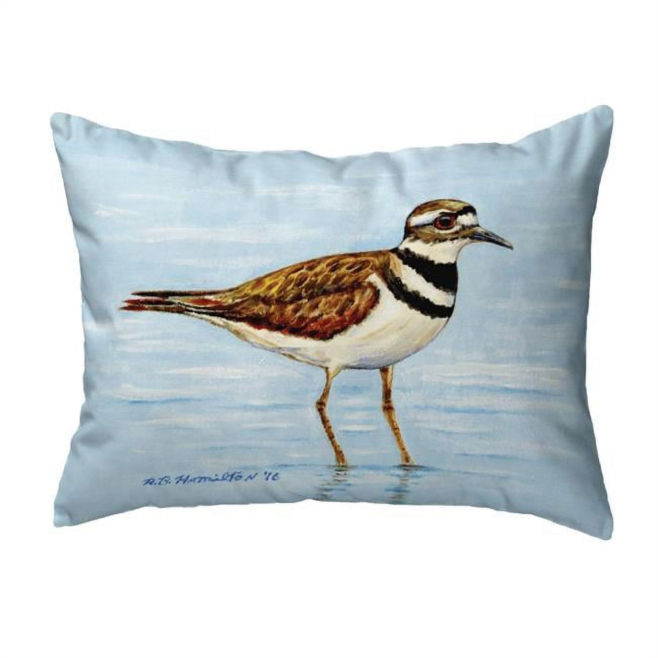 11 x 14 in. Killdeer Small No-Cord Indoor & Outdoor Pillow