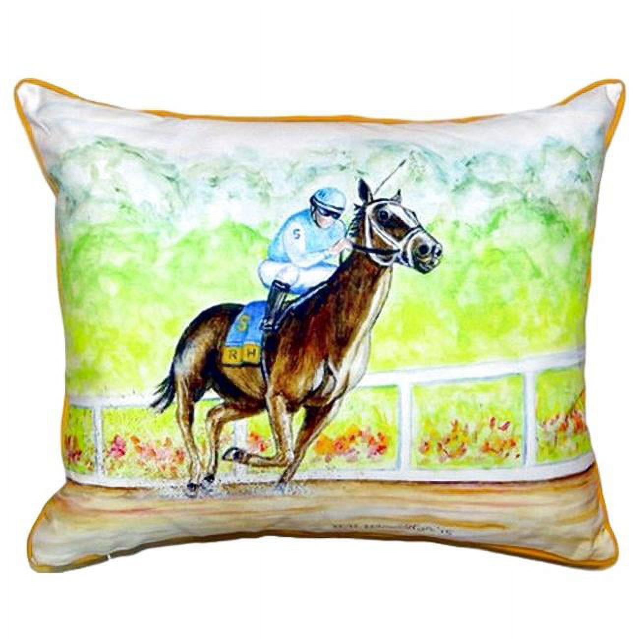 16 x 20 in. Home Stretch Large Indoor & Outdoor Pillow
