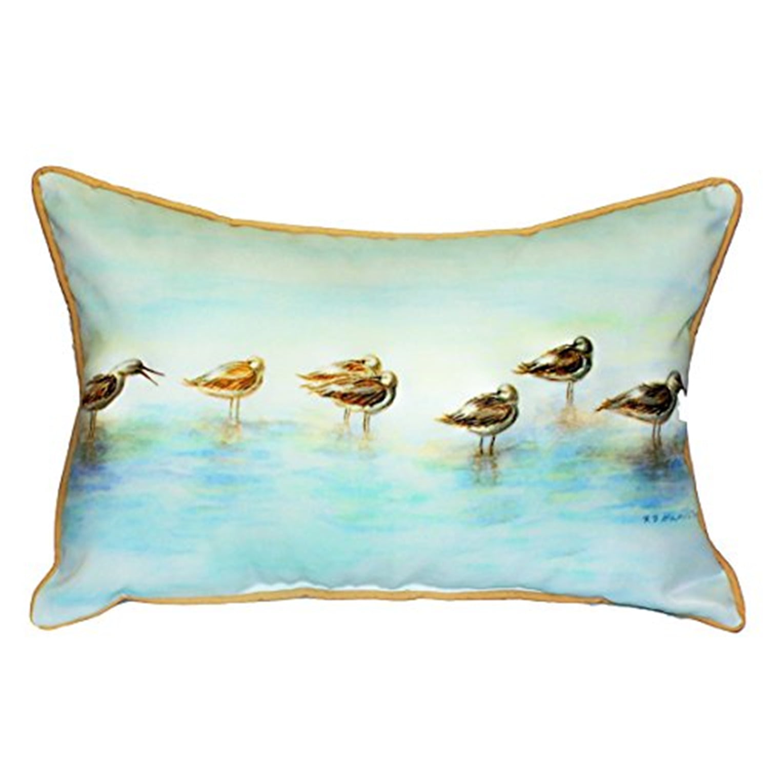 NC770 16 x 20 in. Iguana No Cord Pillow
