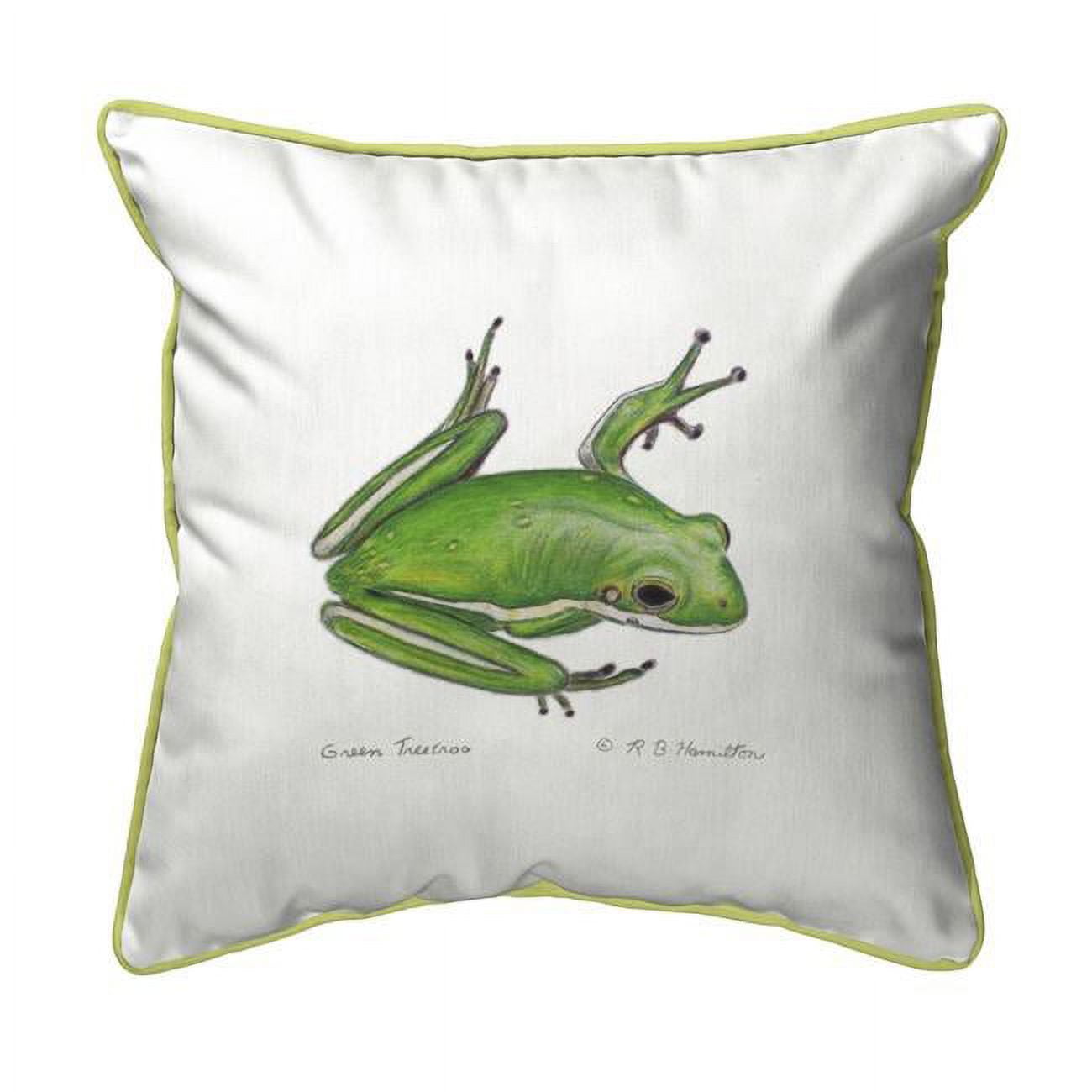 22 x 22 in. Green Treefrog Extra Large Zippered Pillow