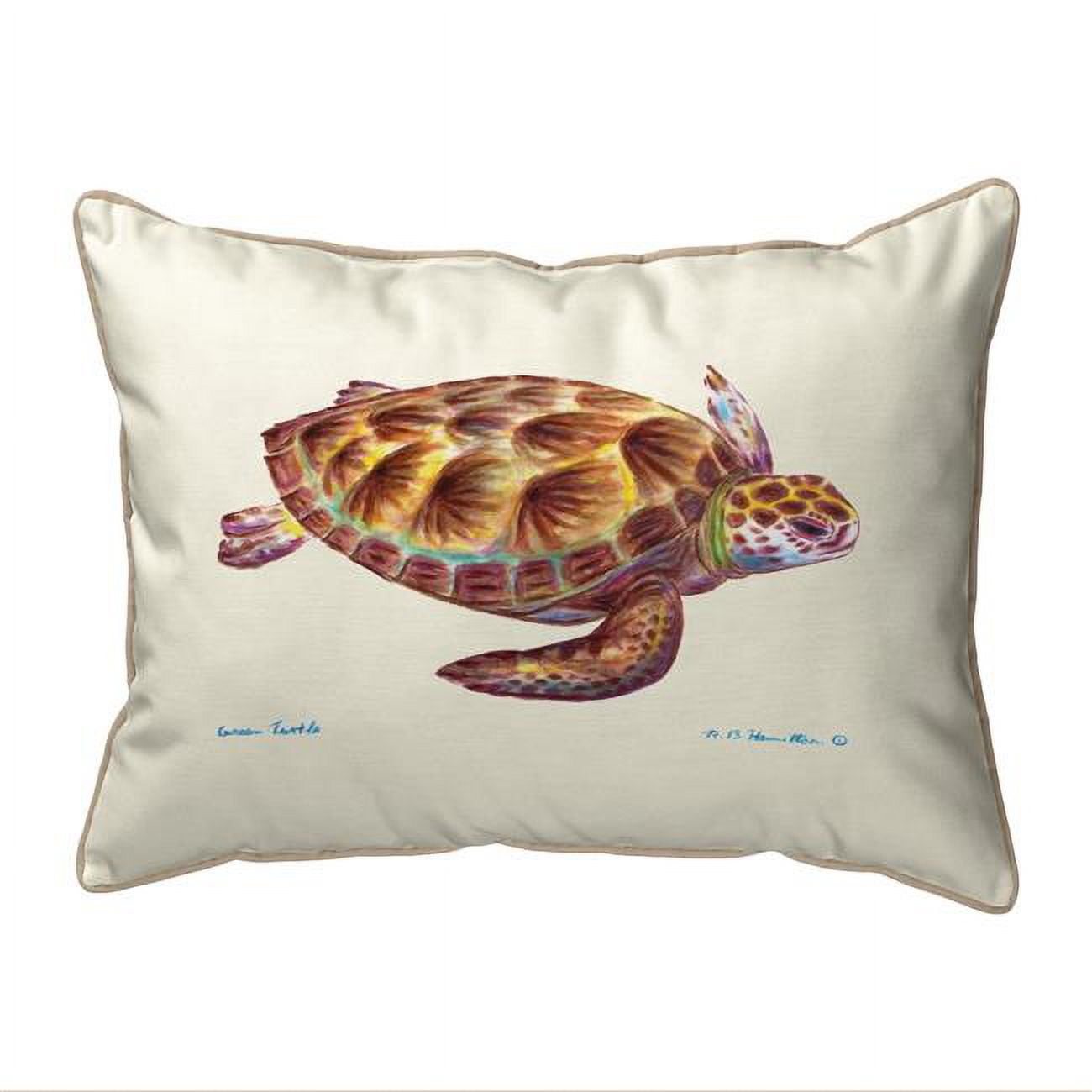 ZP044 20 x 24 in. Green Sea Turtle Extra Large Zippered Pillow