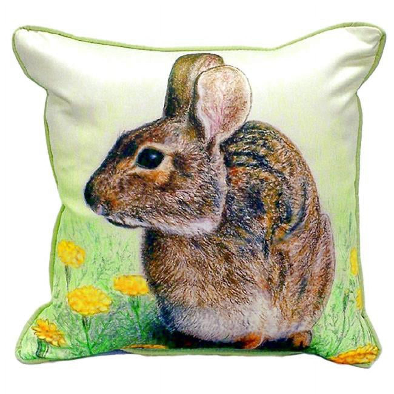 22 x 22 in. Rabbit Extra Large Zippered Pillow