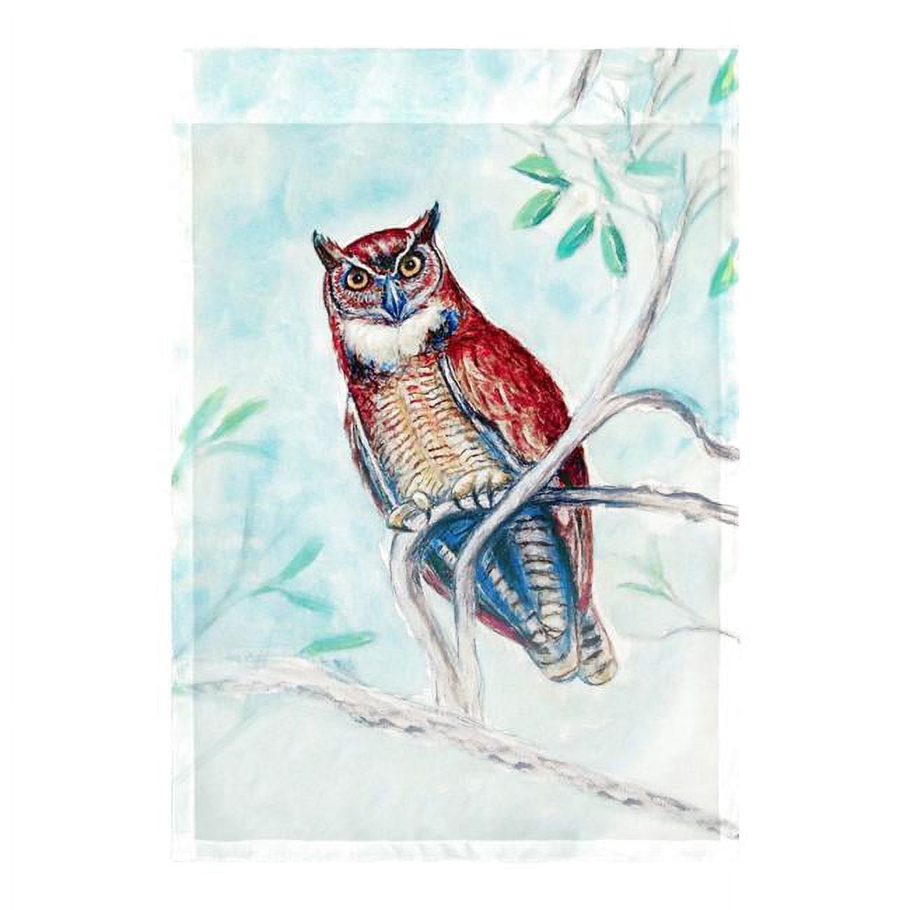 12.5 x 18 in. Owl in Teal Flag