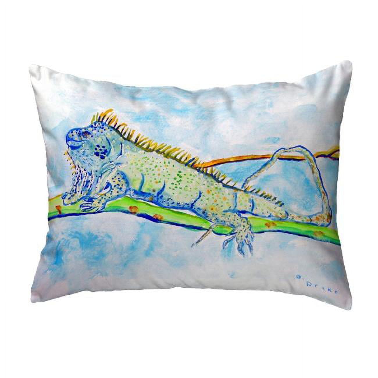 11 x 14 in. Iguana Small No-Cord Pillow