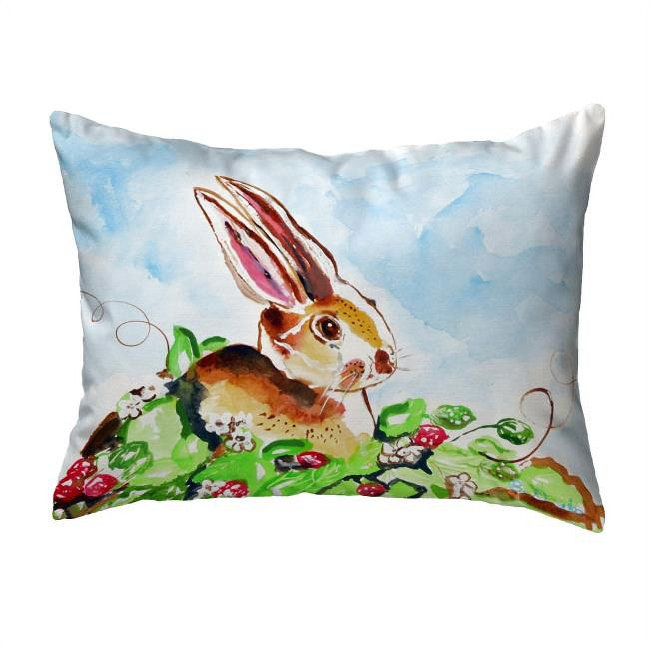 11 x 14 in. Jack Rabbit Right Small No-Cord Pillow