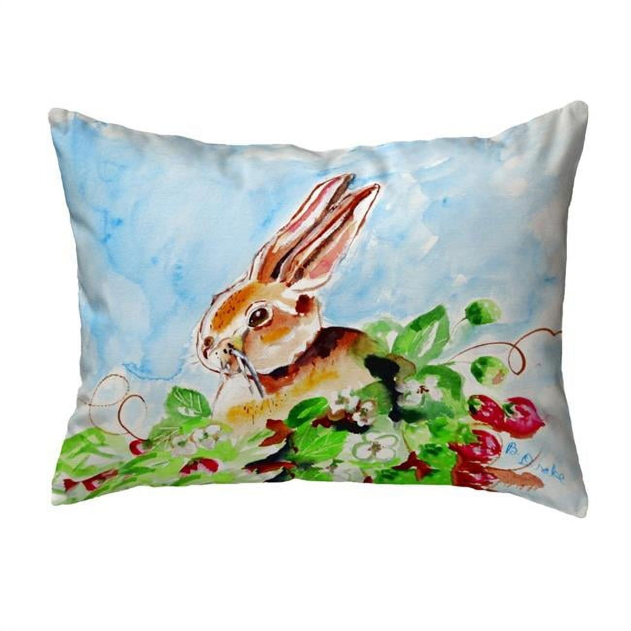 11 x 14 in. Jack Rabbit Left Small No-Cord Pillow