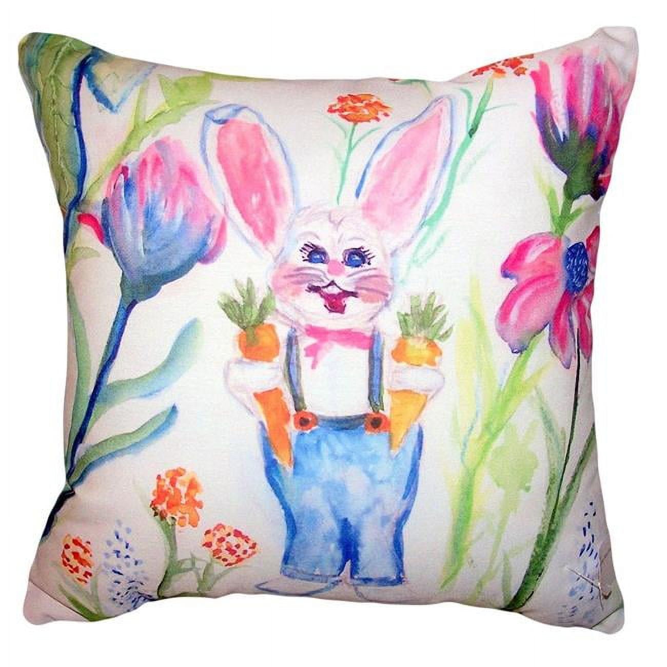 18 x 18 in. Mr. Farmer No Cord Pillow