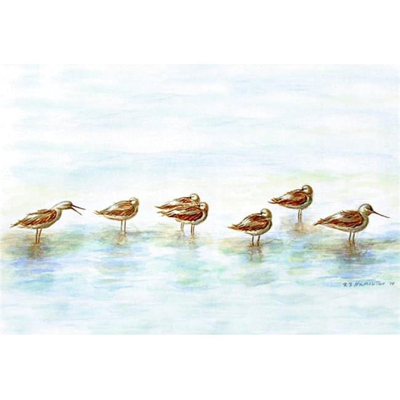 DM024 18 x 26 in. Avocets Door Mat