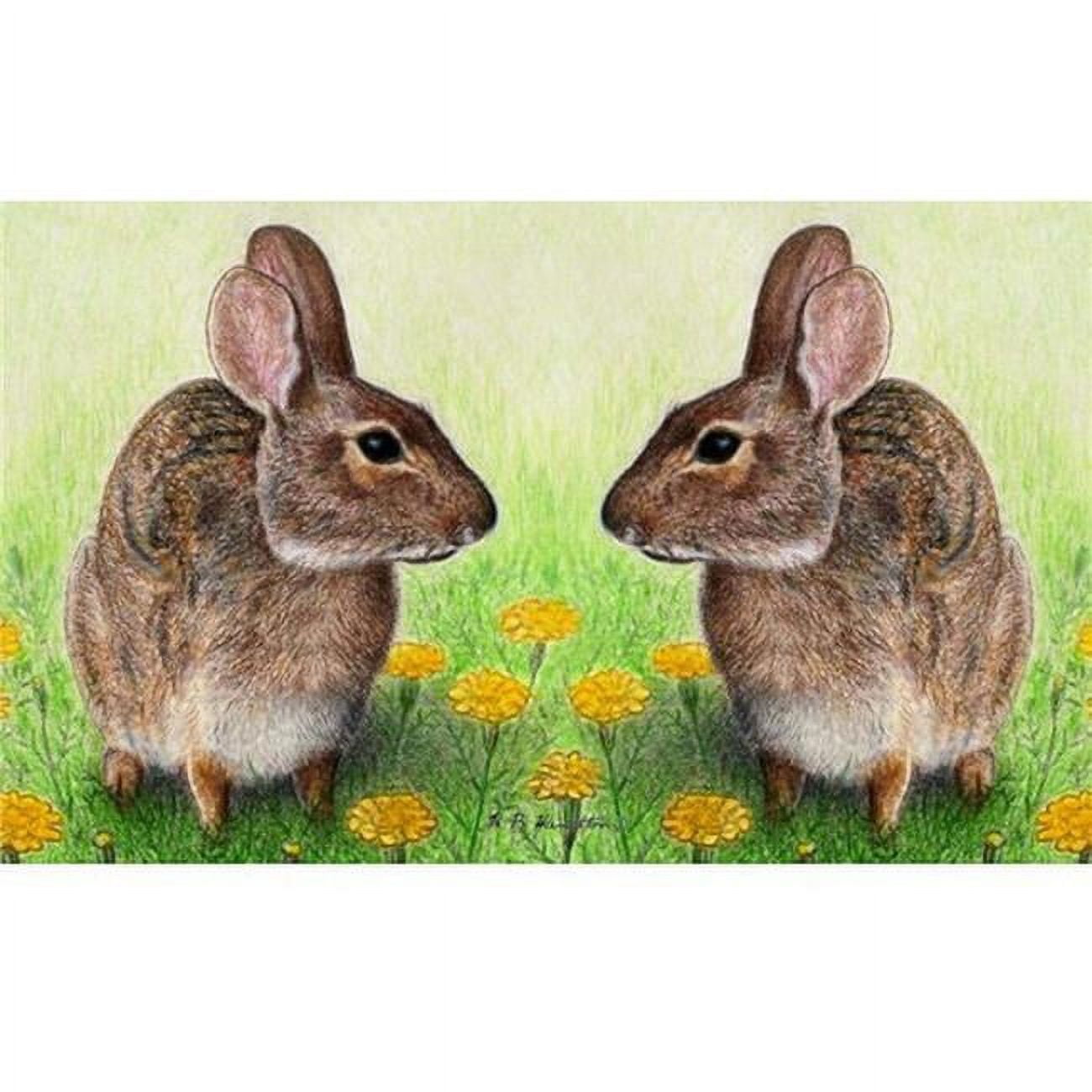 18 x 26 in. Rabbits Door Mat