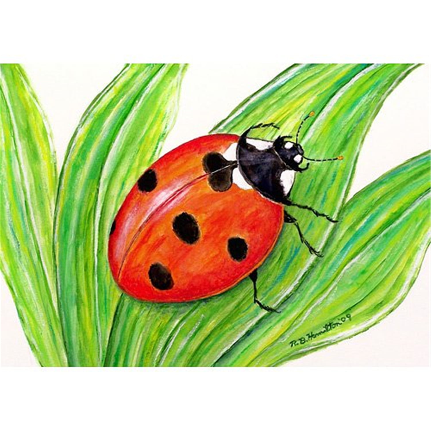 18 x 26 in. Lady Bug Door Mat
