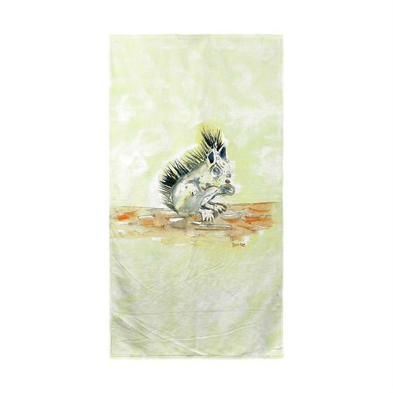 BT059 Baby Squirrel Beach Towel