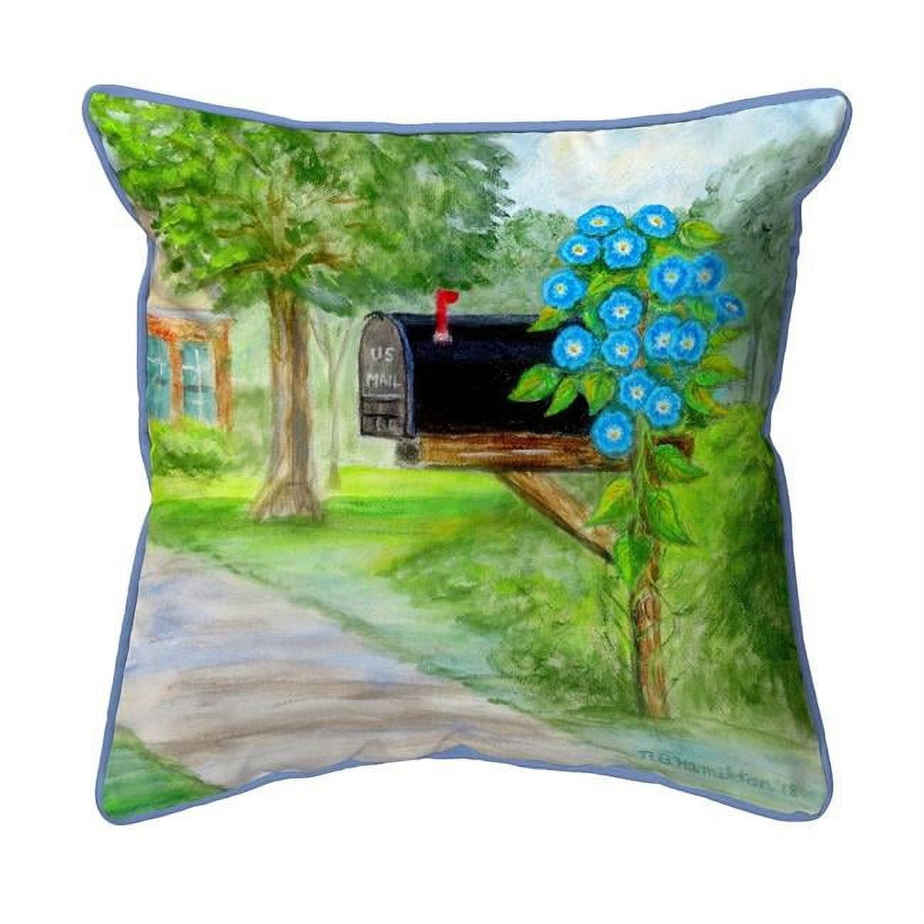 18 x 18 in. Glorious Morning Large Indoor & Outdoor Pillow